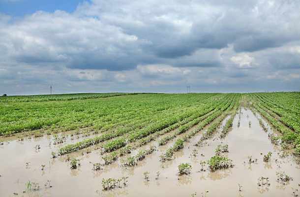 Sobre la situación del Sector Agrario e Infraestructuras del Bajo Guadalquivir