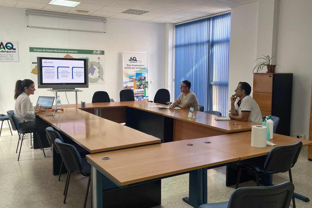 7b62b834 9dd6 4e2b 96be da2f047555f3 0d55e2da adelquivir