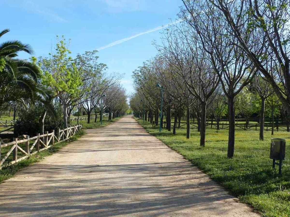 Patrimonio de El Cuervo de Sevilla