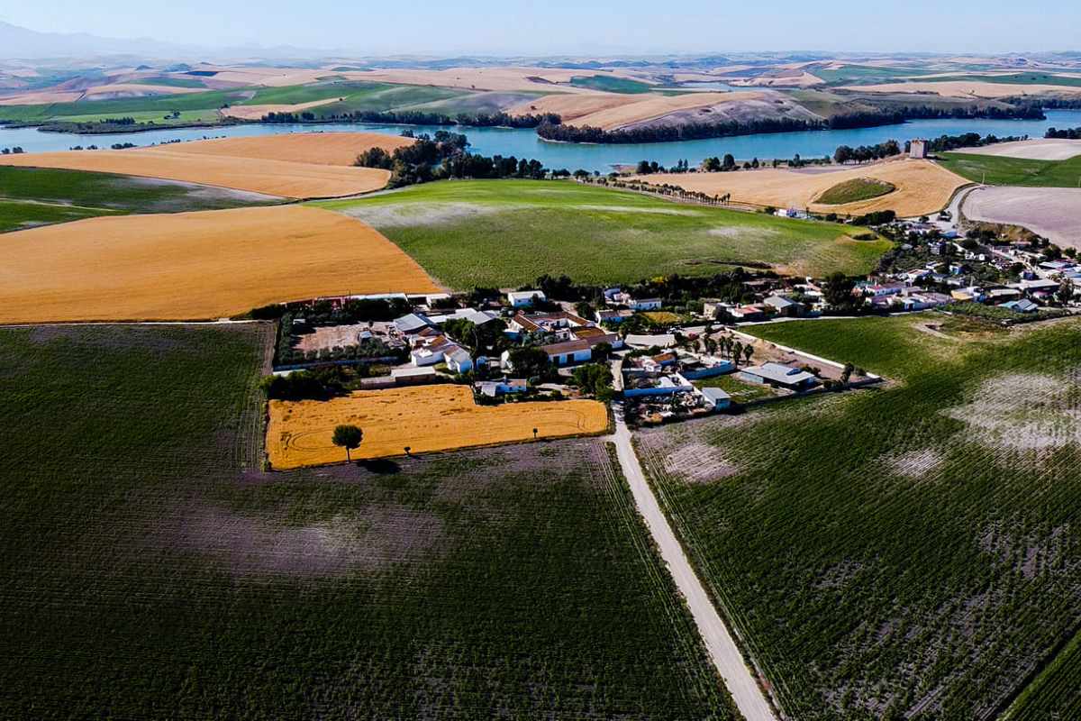Vista aerea del Palmar de Troya 39e10e8c adelquivir