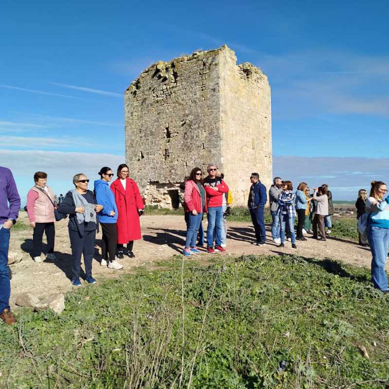 ruta turistica el palmar de troya adelquivir 2025 007 405d679d adelquivir