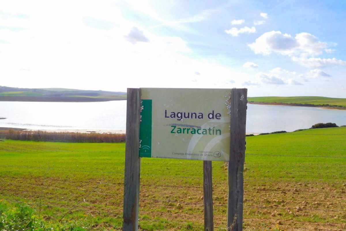 laguna zarracatin utrera 63406753 adelquivir