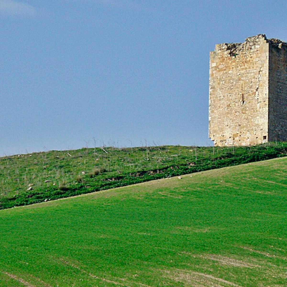ADELQUIVIR organiza un FAM TRIP por los municipios de Utrera, El Coronil, El Palmar de Troya y Los Molares 20 El Palmar de Troya