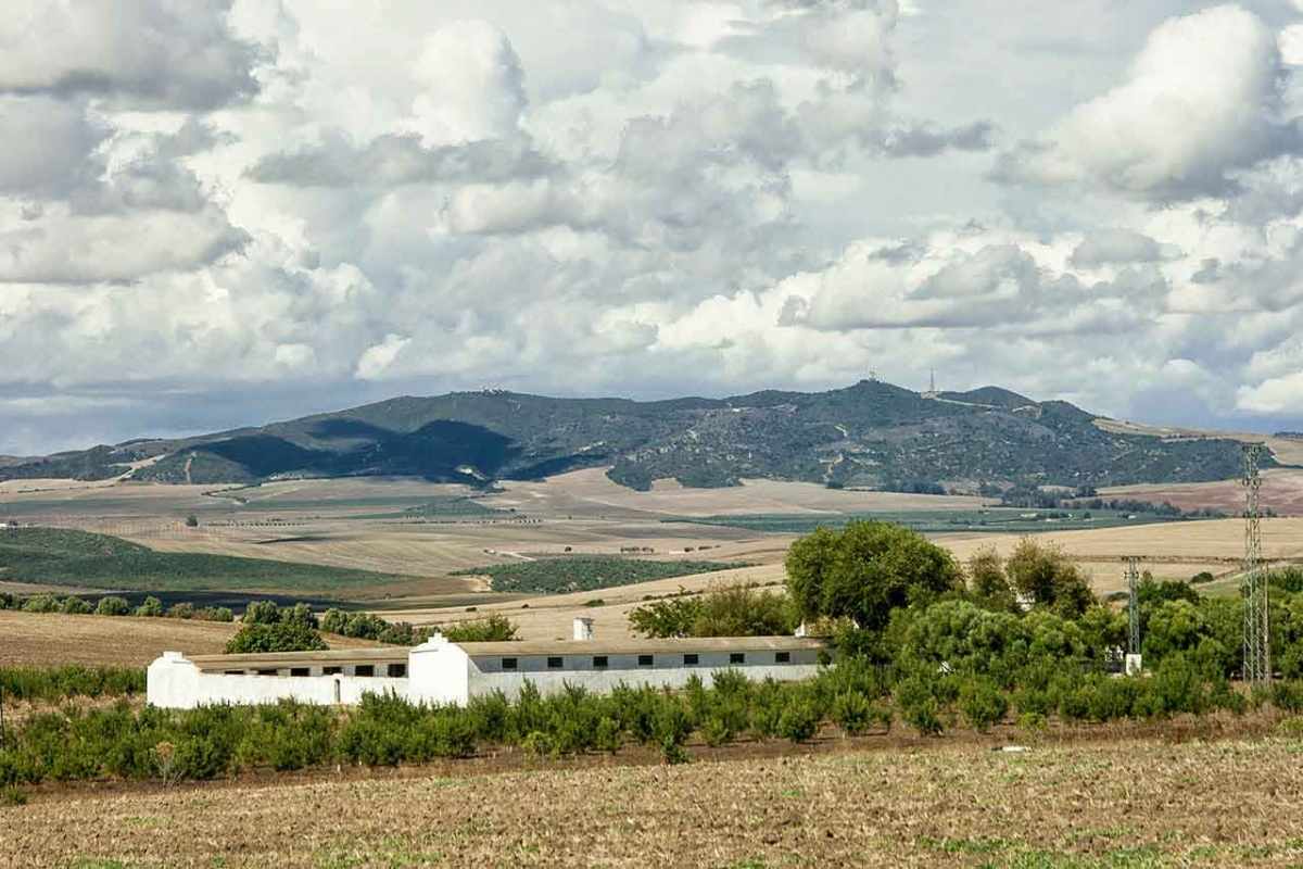 Patrimonio de El Cuervo de Sevilla