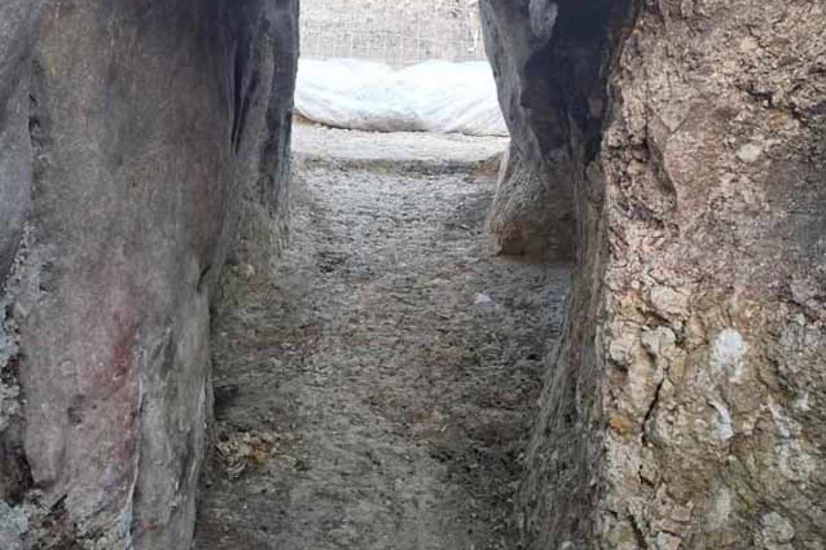 los molares 006 7fea0f25 adelquivir