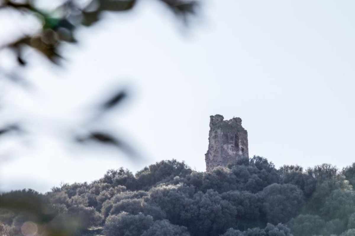 torre del bollo el coronil b2b30826 adelquivir