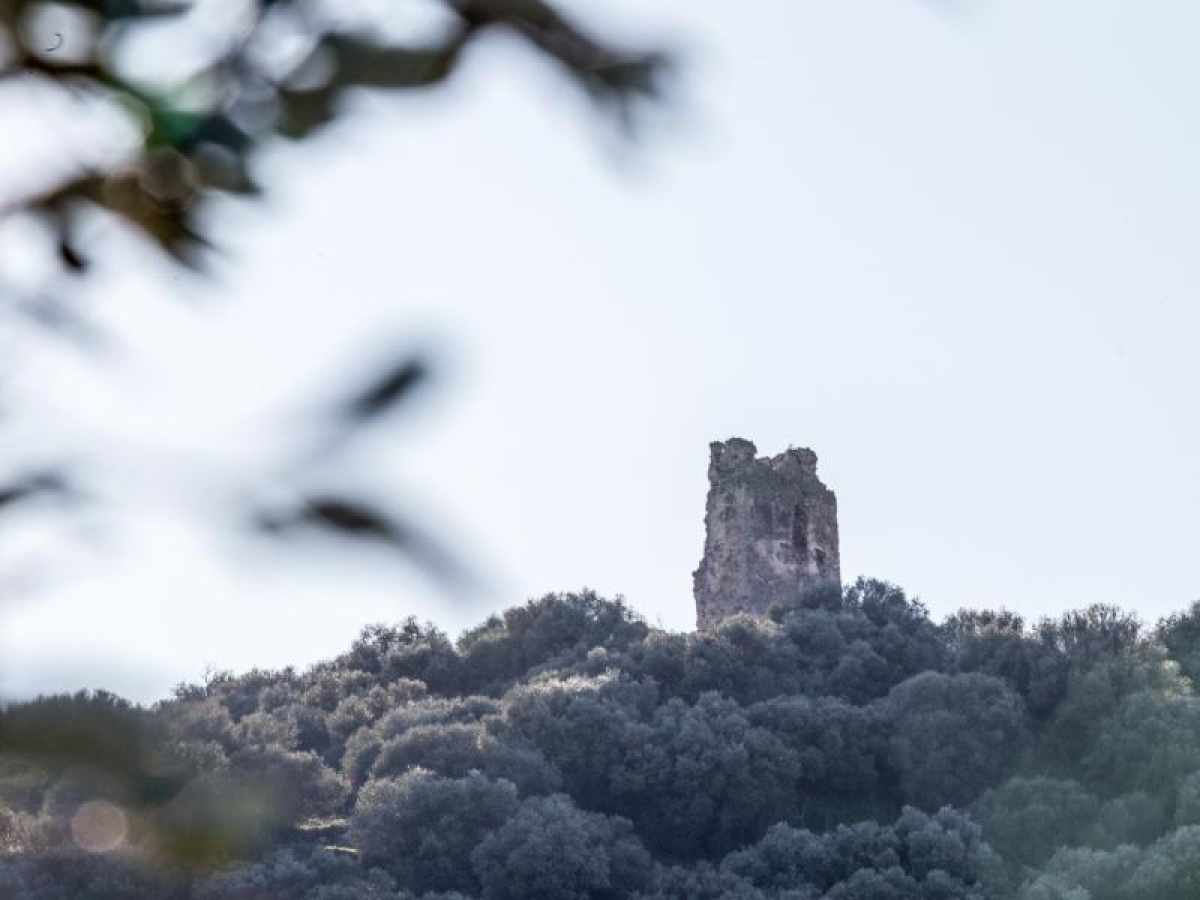 Patrimonio de El Coronil