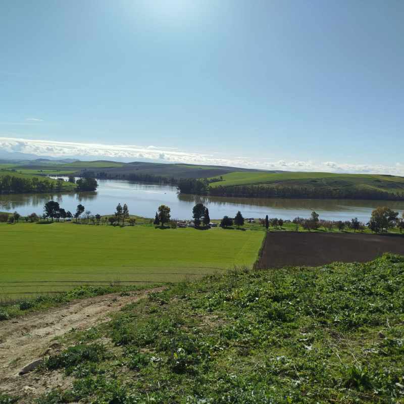 ruta turistica el palmar de troya adelquivir 2025 008 c9a5591e adelquivir