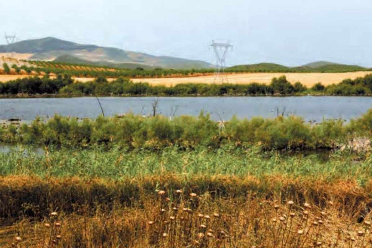 laguna de la cigarrera lebrija sevilla 2 d2e14779 adelquivir