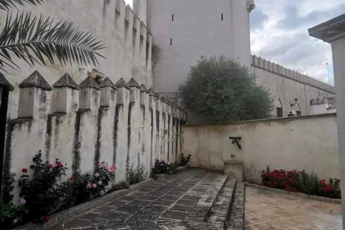 los molares 002 e77811c7 adelquivir