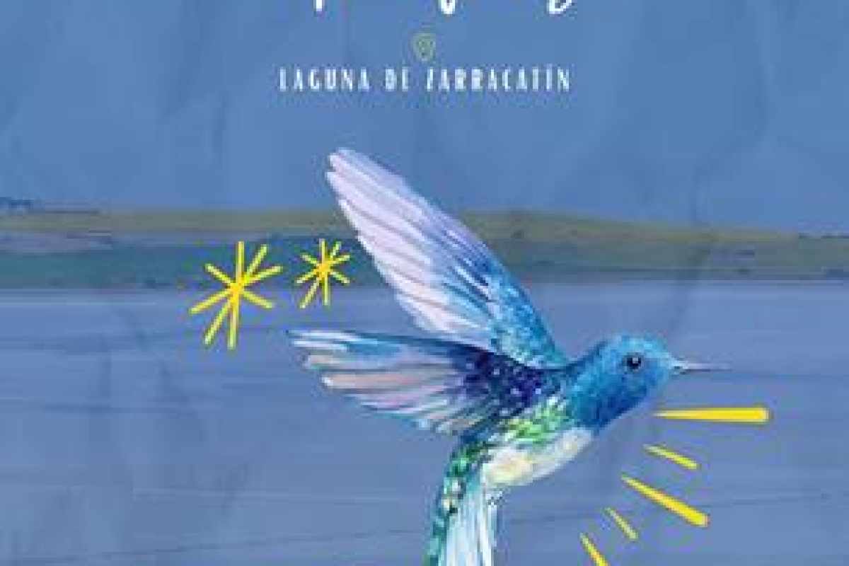 avistamiento de aves e9019e0f adelquivir