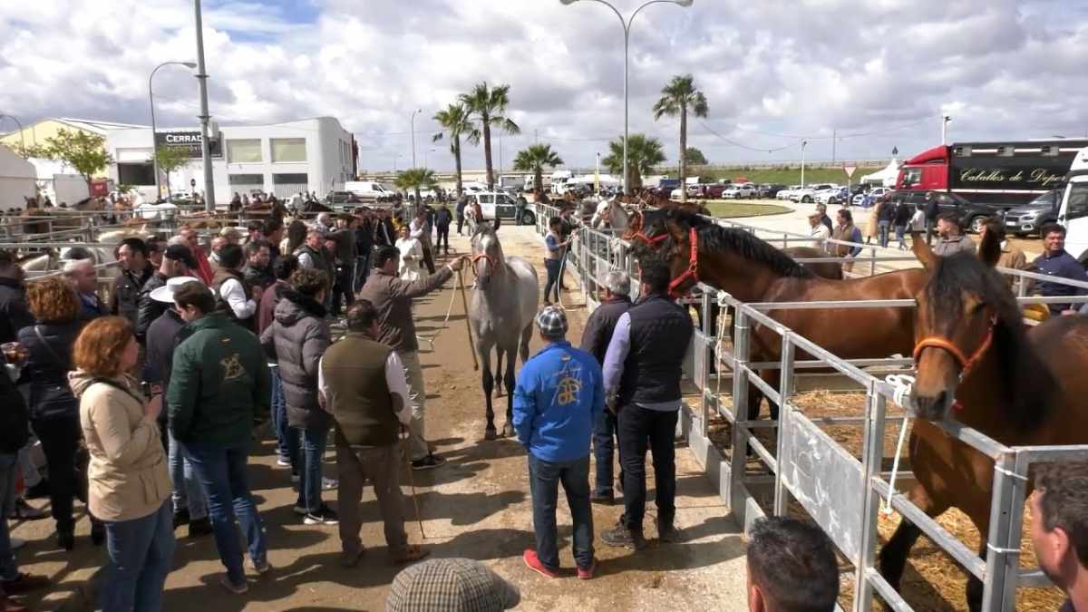 Feria Agro-Ganadera de Los Palacios y Villafranca