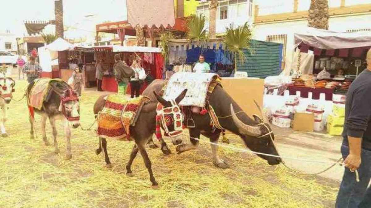 Mercado Medieval de El Palmar de Troya