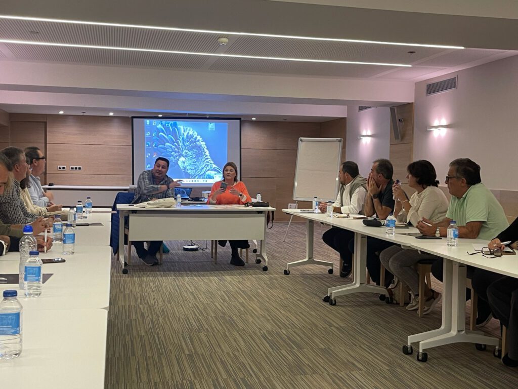 Celebradas, en Santiago de Compostela, las Jornadas de Cierre de las Acciones Comunes del Proyecto Rutas Turísticas y Culturales en las Provincias de Cádiz y Sevilla 2 adelquivir rutas turisticas camino santiago 002 adelquivir