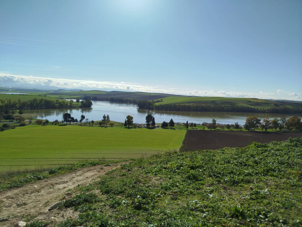 Celebración de las Jornadas de Turismo, Ruta Turística y Promoción Gastronómica de El Palmar de Troya, en el marco del Proyecto Rutas Turísticas y Culturales en las Provincias de Cádiz y Sevilla 9 ruta turistica el palmar de troya adelquivir 2025 008 adelquivir