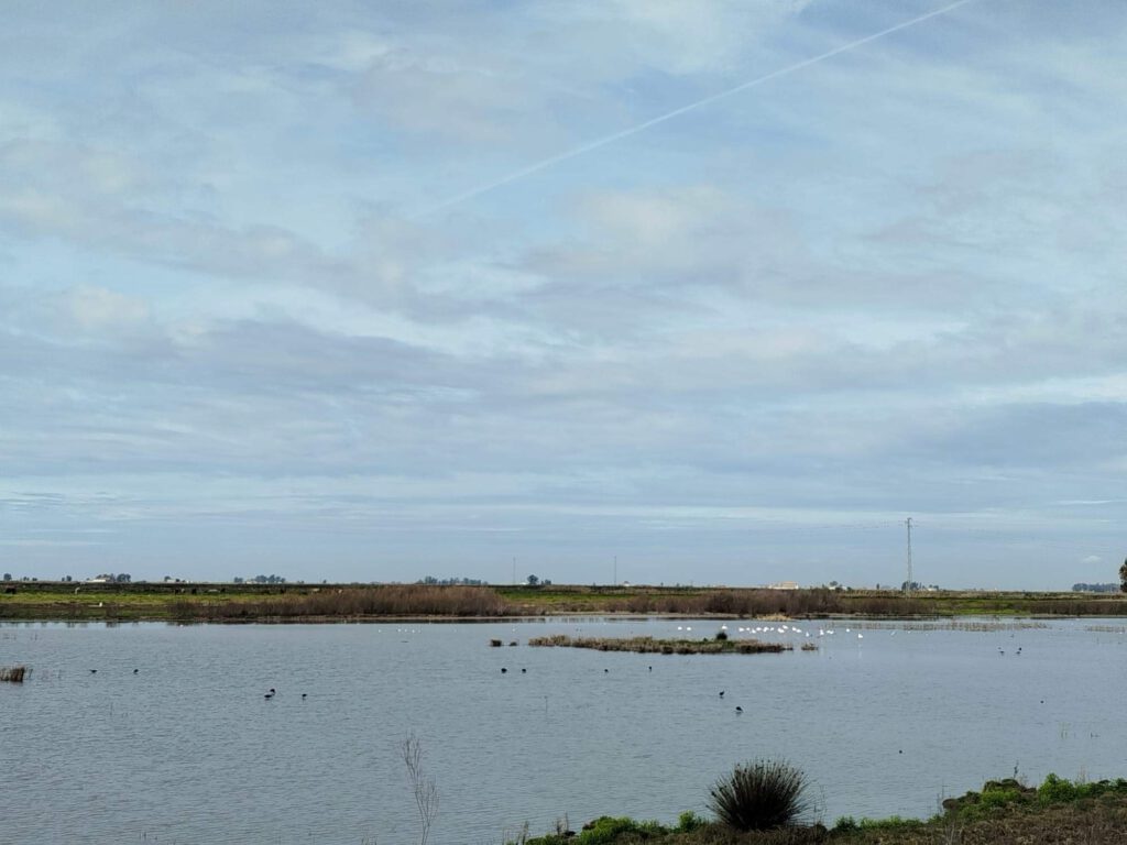 ADELQUIVIR organiza un segundo Fam Trip en la Zona Sur de la Comarca del Bajo Guadalquivir por los municipios de Los Palacios y Villafranca, Las Cabezas de San Juan, Lebrija y El Cuervo de Sevilla 8 fam trip las cabezas san juan el cuervo sevilla adelquivir 006 adelquivir