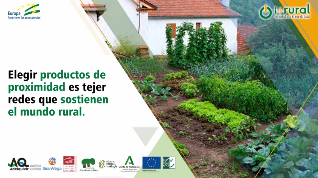 WhatsApp Image 2025 05 12 at 18.24.05 4 adelquivir