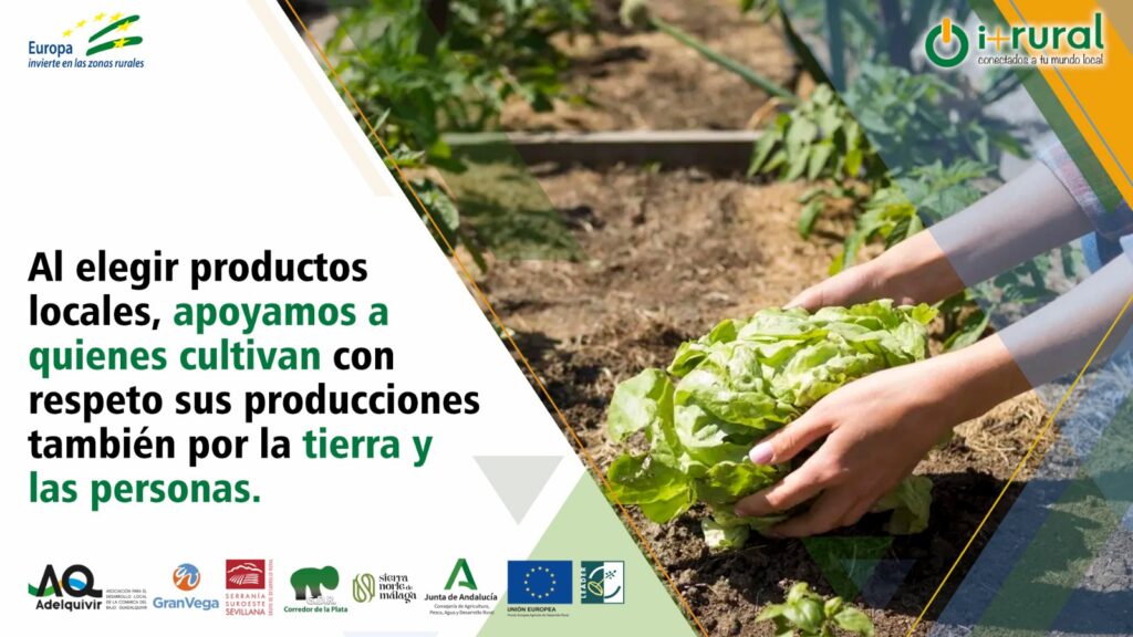 WhatsApp Image 2025 05 12 at 18.24.05 5 adelquivir