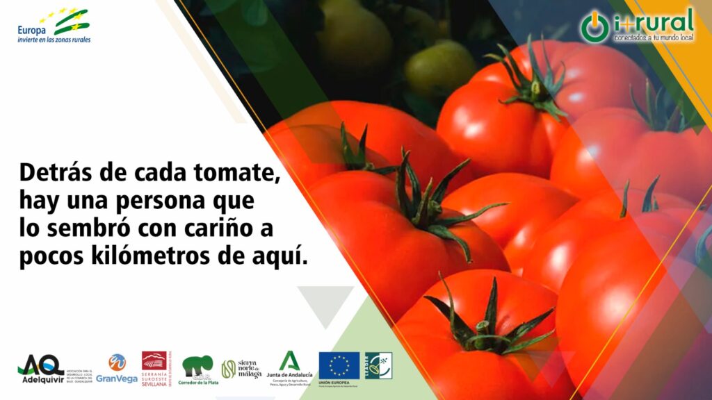 WhatsApp Image 2025 05 12 at 18.24.26 1 adelquivir